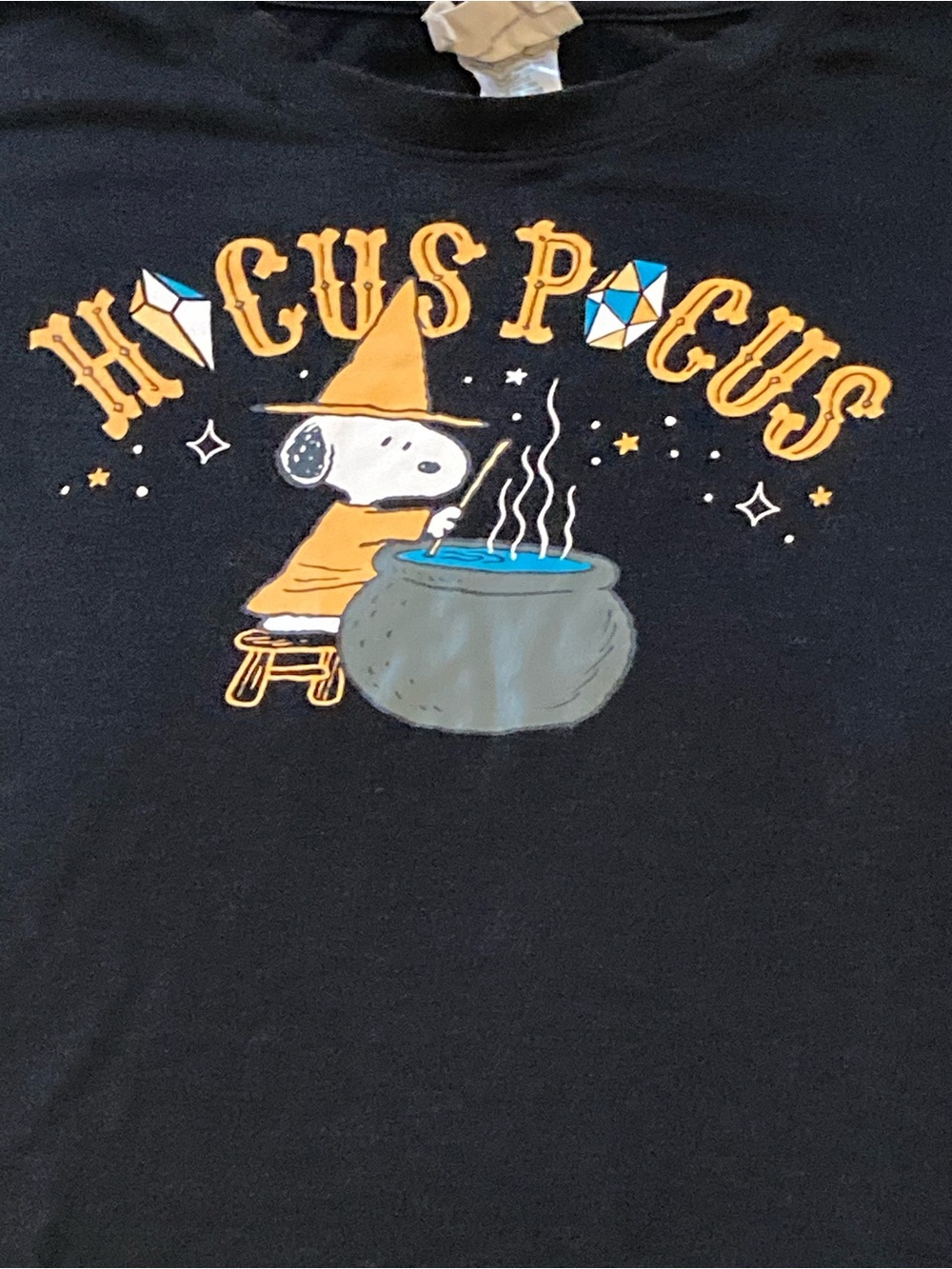 Halloween Hocus Pocus Snoopy Graphic Tee